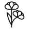 caonola