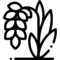 rice bran oil